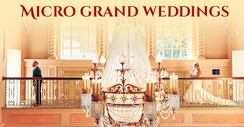 20_1830-Genesee-Micro-Grand-Weddings-500x262.jpg